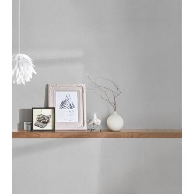 A.S. Création vliesbehang met lichte structuur 0,53 x 15,00 m grijs lichtgrijs effen behang met textuur made in Germany effen grijs behang voor diverse ruimtes 373303 A.S. Création vliesbehang met lichte structuur 0,53 x 15,00 m grijs lichtgrijs effen behang met textuur made in Germany effen grijs behang voor diverse ruimtes 373303