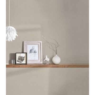 A.S. Création vliesbehang met lichte structuur 0,53 x 15,00 m beige bruin effen behang met structuur made in Germany effen beigebruin behang voor verschillende ruimtes 373302 A.S. Création vliesbehang met lichte structuur 0,53 x 15,00 m beige bruin effen behang met structuur made in Germany effen beigebruin behang voor verschillende ruimtes 373302