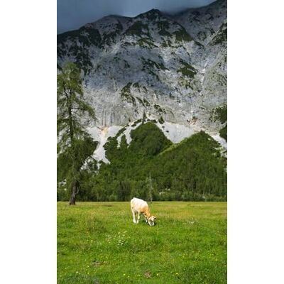 Rasch 364637 Natuurlijke Landschap Vinylbehang - Behang Rasch 364637 Natuurlijke Landschap Vinylbehang - Behang