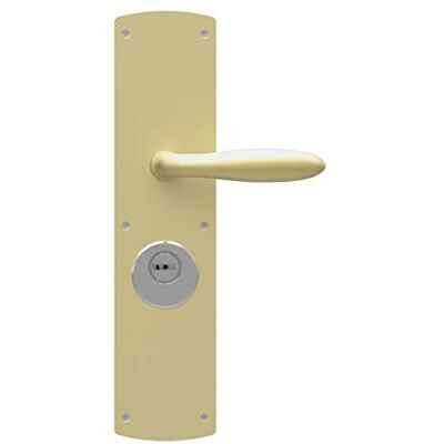Bricard 66690 - Half-montage voor buitendeur met handvat - Serie 74 Champagne Bricard 66690 - Half-montage voor buitendeur met handvat - Serie 74 Champagne