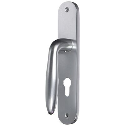 DT 2000 802671 handgreep deurklink op aluminium plaat, greep zilver DT 2000 802671 handgreep deurklink op aluminium plaat, greep zilver