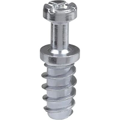 Amig Excentrische bout Ø 6 x 15,5 mm 10 stuks Sterschroef voor plaatmontage Ideaal voor het verbinden van planken en meubels Verzinkt staal Amig Excentrische bout Ø 6 x 15,5 mm 10 stuks Sterschroef voor plaatmontage Ideaal voor het verbinden van planken en meubels Verzinkt staal