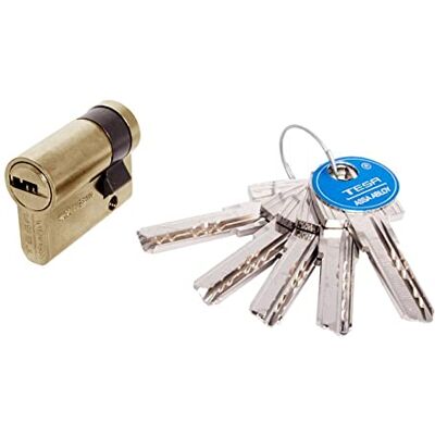 TESA T6554010L T60 veiligheidscilinder Europees cilinderslot 40x10 mm messing voor deuren en Europese profielsloten geschikt voor vervanging en nieuwbouw cilinderknop TESA T6554010L T60 veiligheidscilinder Europees cilinderslot 40x10 mm messing voor deuren en Europese profielsloten geschikt voor vervanging en nieuwbouw cilinderknop
