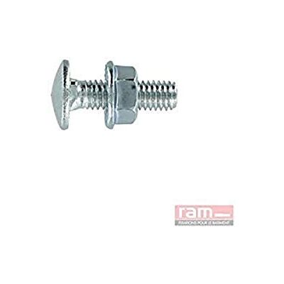 RAM CHEVILLES ET FIXATIONS Ram TRCC-bouten, 6 mm x 12 mm, grijs, 100 stuks RAM CHEVILLES ET FIXATIONS Ram TRCC-bouten, 6 mm x 12 mm, grijs, 100 stuks