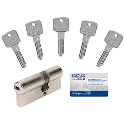 Bricard A6 Slot - Cilinder, 6 Pinnen, 30+40mm, Nikkel Sleutels Bricard A6 Slot - Cilinder, 6 Pinnen, 30+40mm, Nikkel Sleutels