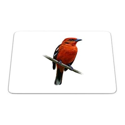 Bonamaison , Rechthoek digitaal bedrukte muismat, antislip onderkant, voor kantoor en thuis, afmetingen: 22x18 cm Bonamaison , Rechthoek digitaal bedrukte muismat, antislip onderkant, voor kantoor en thuis, afmetingen: 22x18 cm