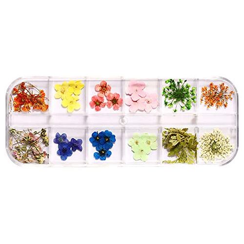 Omenluck 1 Doos Gedroogde Bloemen voor Nail Art Gedroogde Bloemen Groene Bladeren Accessoires Echte Bloemen voor Nagels