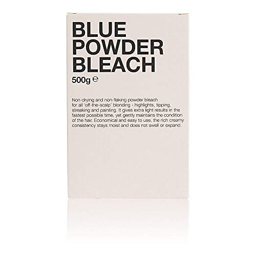 SALON SERVICES Tek Basics Poeder Bleekmiddel Blauw 500g