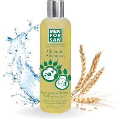 MENFORSAN 0 Tarwekiemshampoo voor fretten-300 ml, geel, 300 ml (verpakking van 1), 300 MENFORSAN 0 Tarwekiemshampoo voor fretten-300 ml, geel, 300 ml (verpakking van 1), 300