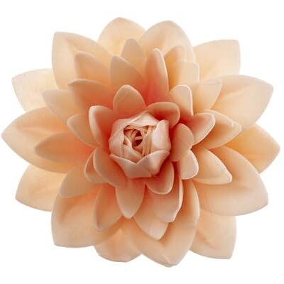dekora Reuze Wafel Dahlia Kleur Van Gebak Ø 12,5Cm Geschikt Voor Vegetariërs, Glutenvrij, Lactosevrij dekora Reuze Wafel Dahlia Kleur Van Gebak Ø 12,5Cm Geschikt Voor Vegetariërs, Glutenvrij, Lactosevrij