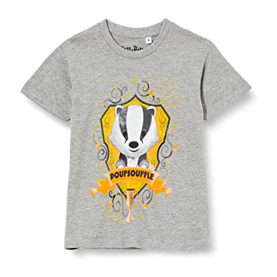 Harry Potter Cotton Division T-shirt voor jongens grijs 6 ans Harry Potter Cotton Division T-shirt voor jongens grijs 6 ans