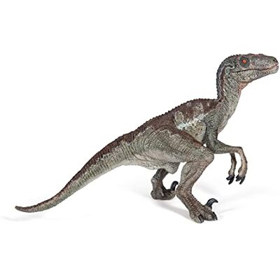 Papo Velociraptor Dinosaurusfiguur, Krijt, Kinderen 3+ Jaar Leerzaam spel over een snel en behendig roofdier 9.8 x 7 x 9.5 cm handgeschilderd cadeau voor meisjes en jongens Papo Velociraptor Dinosaurusfiguur, Krijt, Kinderen 3+ Jaar Leerzaam spel over een snel en behendig roofdier 9.8 x 7 x 9.5 cm handgeschilderd cadeau voor meisjes en jongens