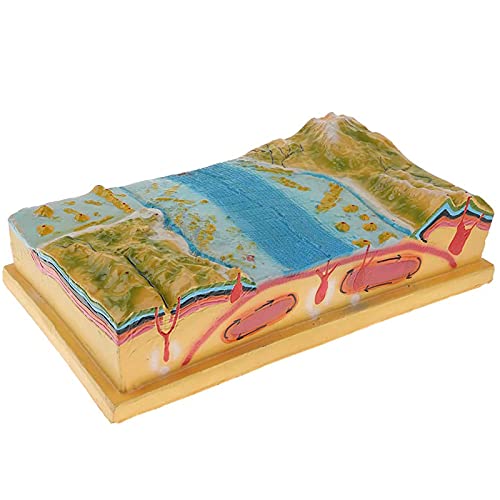 AWJ School geologie klas leermiddelen, 3D geologie plaattektoniek model, interpretatiemodel van contour topografische kaart, inclusief zeebodem, berg, aardkorst en meer