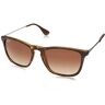 Ray-Ban Heren Sonnenbrille Mod 4187 Zonnebril, Bruin (Braun), 54.0