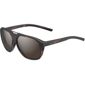 bollé Bolle Brands Arcadia Vierkante Zonnebril, Dames en Heren, Schildpad, mat, L bollé Bolle Brands Arcadia Vierkante Zonnebril, Dames en Heren, Schildpad, mat, L