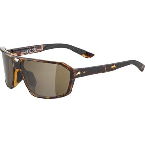 ALPINA Swift Stijlvolle zonnebril voor volwassenen, havana gloss ALPINA Swift Stijlvolle zonnebril voor volwassenen, havana gloss