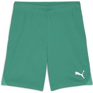 Puma teamGOAL Junior Sports Shorts - Sports Shorts Puma teamGOAL Junior Sports Shorts - Sports Shorts
