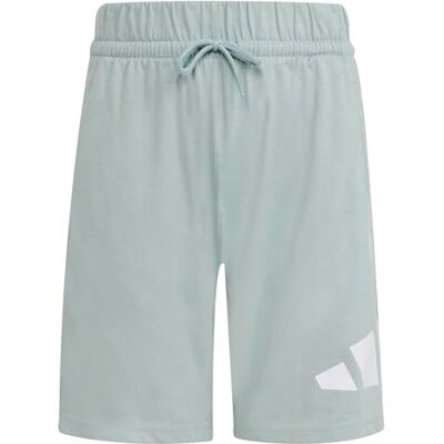 adidas Unisex niños ESSENTIALS BIG LOGO SHORTS, Wonder Sage/white, 11-12 Years adidas Unisex niños ESSENTIALS BIG LOGO SHORTS, Wonder Sage/white, 11-12 Years