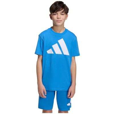 adidas Unisex niños ESSENTIALS BIG LOGO T-SHIRT, ray blue/white, 11-12 Years adidas Unisex niños ESSENTIALS BIG LOGO T-SHIRT, ray blue/white, 11-12 Years