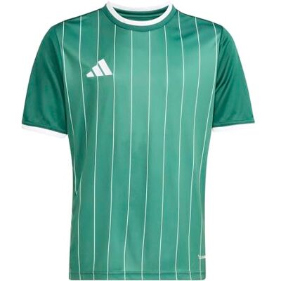 adidas uniseks-kind Entrada26 Graphic Jersey Kids Shirt, team dark green/white, 3-4 Years adidas uniseks-kind Entrada26 Graphic Jersey Kids Shirt, team dark green/white, 3-4 Years