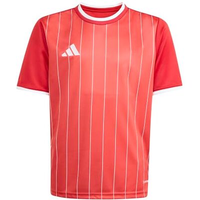 adidas uniseks-kind Entrada26 Graphic Jersey Kids Shirt, team power red 2/white, 3-4 Years adidas uniseks-kind Entrada26 Graphic Jersey Kids Shirt, team power red 2/white, 3-4 Years