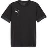 PUMA teamGOAL Speeldag Jersey jr