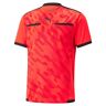 PUMA Heren Teamliga scheidsrechter jersey scheidsrechter shirt