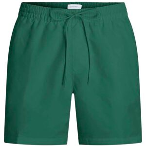 Calvin Heren Medium Trekkoord LV00N61109 Boardshorts, Groen (Wild Groen), XL, Groen (Wild Groen), XL Calvin Heren Medium Trekkoord LV00N61109 Boardshorts, Groen (Wild Groen), XL, Groen (Wild Groen), XL