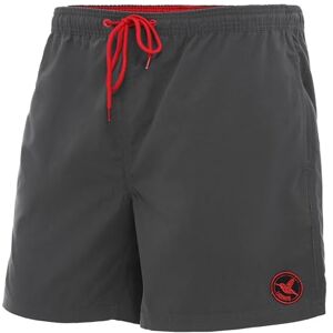 Ladeheid Heren Zwembroek Shorts LA40-128 (Grafiet, Small) Ladeheid Heren Zwembroek Shorts LA40-128 (Grafiet, Small)