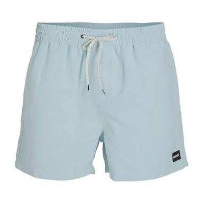 Hurley Boardshort Men Vollley Icon Solid 15' heren Surfbroek Hurley Boardshort Men Vollley Icon Solid 15' heren Surfbroek