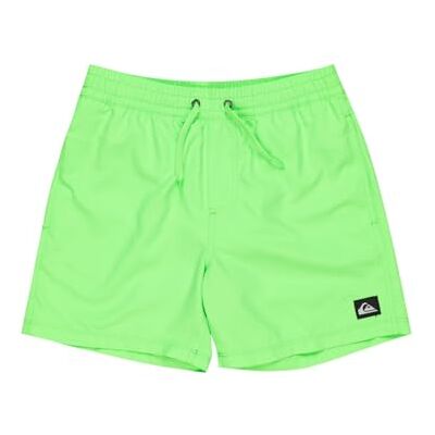 Quiksilver Boardshorts EVERYDAY SOLID VOLLEY YTH 14 Jeugd Groen 16, Groene Gecko, 16 jaar Quiksilver Boardshorts EVERYDAY SOLID VOLLEY YTH 14 Jeugd Groen 16, Groene Gecko, 16 jaar