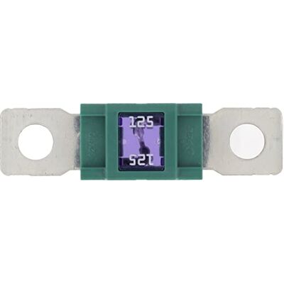 RESTAGRAF Zekering - 3170400171390 RESTAGRAF Zekering - 3170400171390