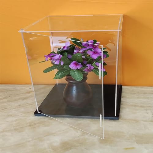 CHZDPP Dubbele deur acryl verzamelobjecten opslag vitrine voor bloem basketbal, doorzichtige vitrine figuren verzamelobjecten vitrine, stofdichte schoenendoos kubus voor thuis opslag (maat: 50 x 50 x 65