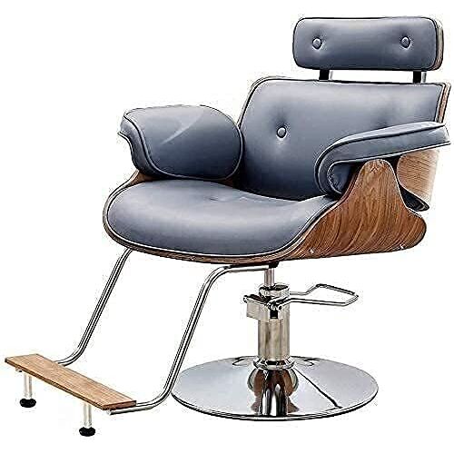 EBOSCUJW Hydraulische stoel voor bedrijf of thuis, schoonheidsstoel kappersstoelen voor kapper, kappersstoel, hydraulische mode kappersstoel (420 lbs) (donkergrijs B) handig (donkergrijs B)