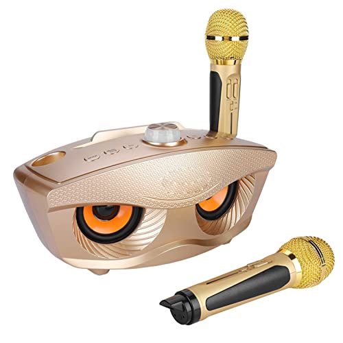 jerss Microfoon Karaoke Microfoon En Luidspreker Karaoke Luidspreker, Karaoke Microfoon, voor Binnen voor Buiten (Goud)