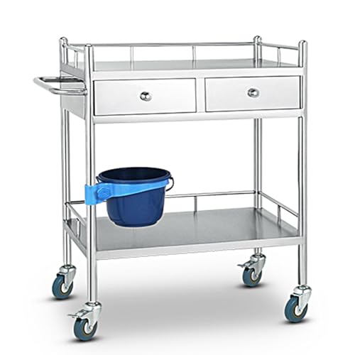 BREZO Trolleywagen, Laboratoriumwagen, Roestvrijstalen Wagen, Medische Wagen met 360° Stille Wielen, for Laboratorium, Kliniek, Keuken, Salon, 2 Lades (Color : 2 layer, Size : 660x440x860mm)