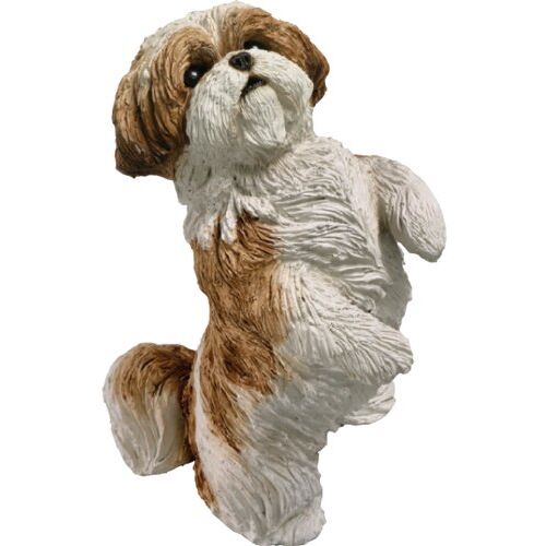 Sandicast Originele Grootte Goud en Wit Shih Tzu Beeldhouwkunst, Zittend Mooi