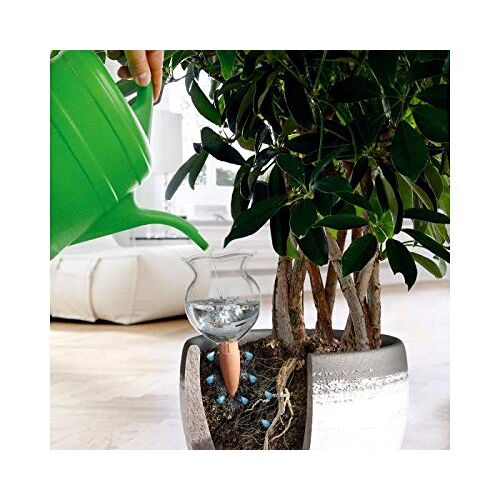 Bio Green Plantenirrigatie, waterdispenser, 200 ml, irrigatiebal voor gelijkmatige watervoorziening in de vakantietijd