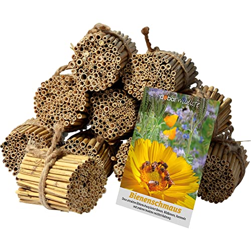 dobar ® 22690e Rieten rietjes set 1.000 stuks insectenhotel knutselset rieten rietjes voor wilde bijenhotels nesthulp uit rietrietjes incl. wilde bloemzaden 9cm