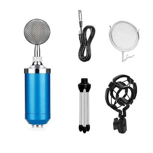 SSDDLZEQ Microfoonset, draagbare zangmicrofoon, geschikt for mobiele telefoons en laptops (Color : Blu)