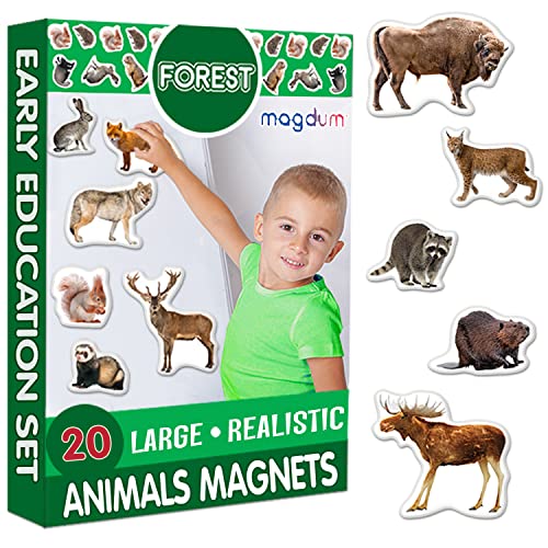 magdum Koelkastmagneten voor kinderen  Bosdieren 20 Grote koelkastmagneten voor kinderen Magneten voor koelkastmagneten voor peuters Kinderkoelkastmagneten Speelgoedmagneten voor whiteboards
