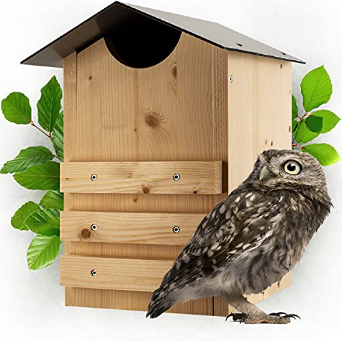 Martenbrown ® uil nestkast nestkast ik uilen ik Eulenhaus ik Huis voor Owl I Hol van de uil Ik Nisthöhle ik uilen vak I schuuruilen vak I uilen nestkast I vogelhuis uil