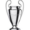 Generic Premier League Trophy (Europees kampioenschap 77CM)