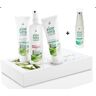 L R LR Aloë vera-box, aloë vera-concentraat, 100 ml, aloë vera met propolis 100 ml, aloë vera noodgevallenspray 150 ml & 1 x aloë vera noodgevallenspray (ongevuld) voor onderweg