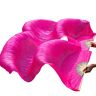 ZlyxLzq Zijden Fans, Zijden Bamboe Lange Fans 100% Zijde Unisex Chinese Zijden Sluier Dans Fans 1 Paar Buikdans Fans Zuiver Wit Kleur 180 * 90cm (Color : Rose, Size : 150x90cm)