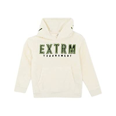 DeFacto Y1667a6 jongens Sweatshirt met capuchon DeFacto Y1667a6 jongens Sweatshirt met capuchon