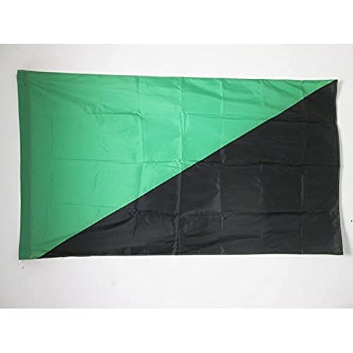 AZ FLAG Anarcho-primitivisme Vlag 90x60cm Groen Anarchisme Vlag 60 x 90 cm Hoes voor vlaggenmast