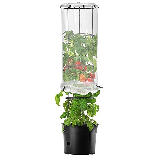 KADAX Pot met tomaat volwassen hoes, tomatenparaplu met plantenpot, plantenpotset met latwerk, foktoren met latwerk, tomatenbescherming voor trellisplanten (40 cm)
