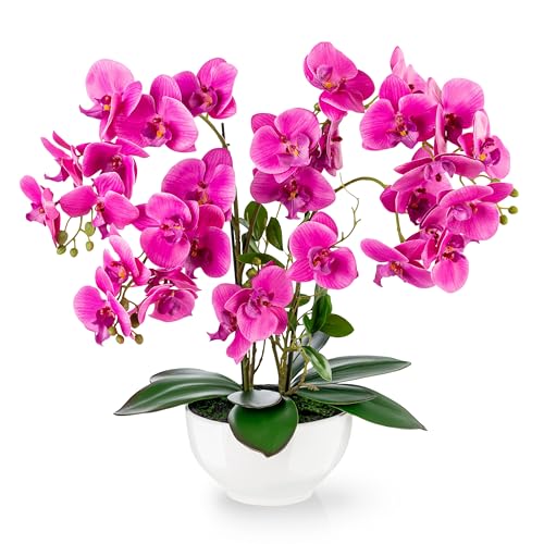 PASCH ® Kunstbloem in pot (56 cm): orchideeën kunstmatig in hoogglans keramische pot   kunstbloemen als echt   kunstmatige orchideeën in pot   kunstbloemen in pot   kunstbloemen orchidee groot (roze)