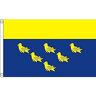 AZ FLAG West Sussex County Vlag 150x90 cm County of West Sussex Engeland vlaggen 90 x 150 cm Banner 3x5 ft Hoge kwaliteit